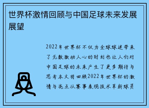 世界杯激情回顾与中国足球未来发展展望